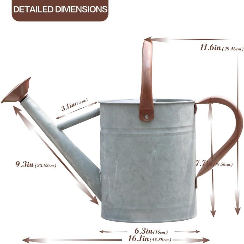 yourjoy Metal Watering Can, One Gallon Watering Cans Stainless Steel for Outdoor Indoor Garden Plants Watering (Zinc 1 Gallon) - Image 2